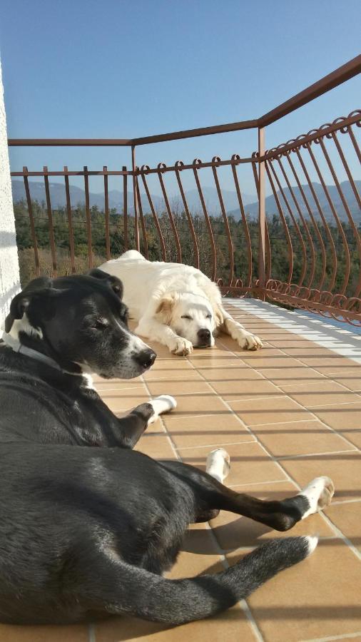 L'Arcadia Bed & Breakfast Giffoni Sei Casali Ngoại thất bức ảnh