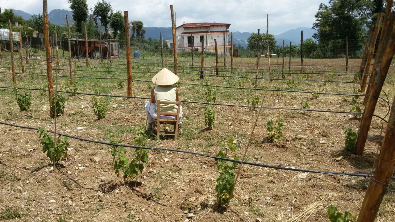 L'Arcadia Bed & Breakfast Giffoni Sei Casali Ngoại thất bức ảnh